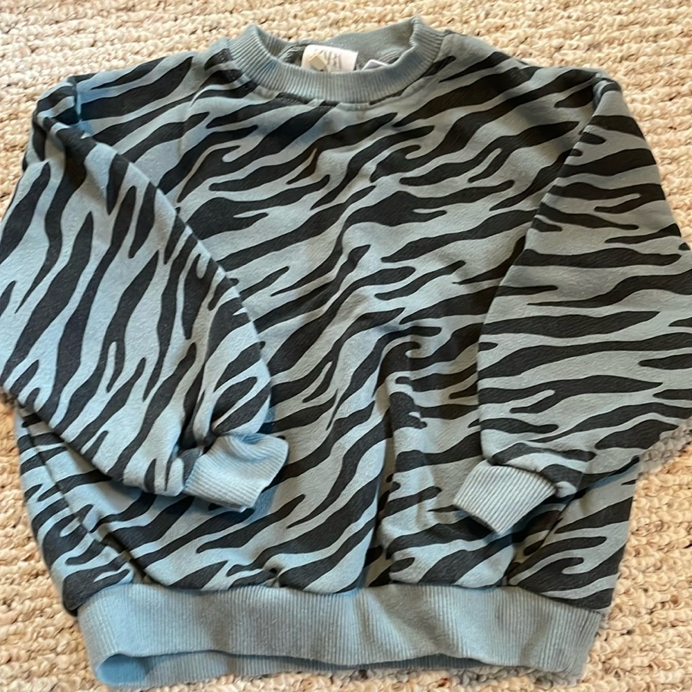 Zara Sweatshirt